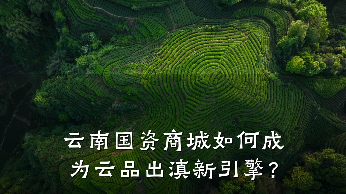 云南国资商城如何成为云品出滇新引擎?