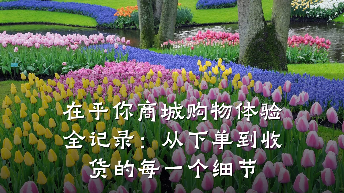 在乎你商城购物体验全记录:从下单到收货的每一个细节