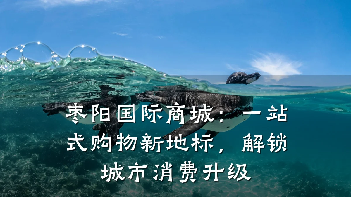 枣阳国际商城:一站式购物新地标,解锁城市消费升级