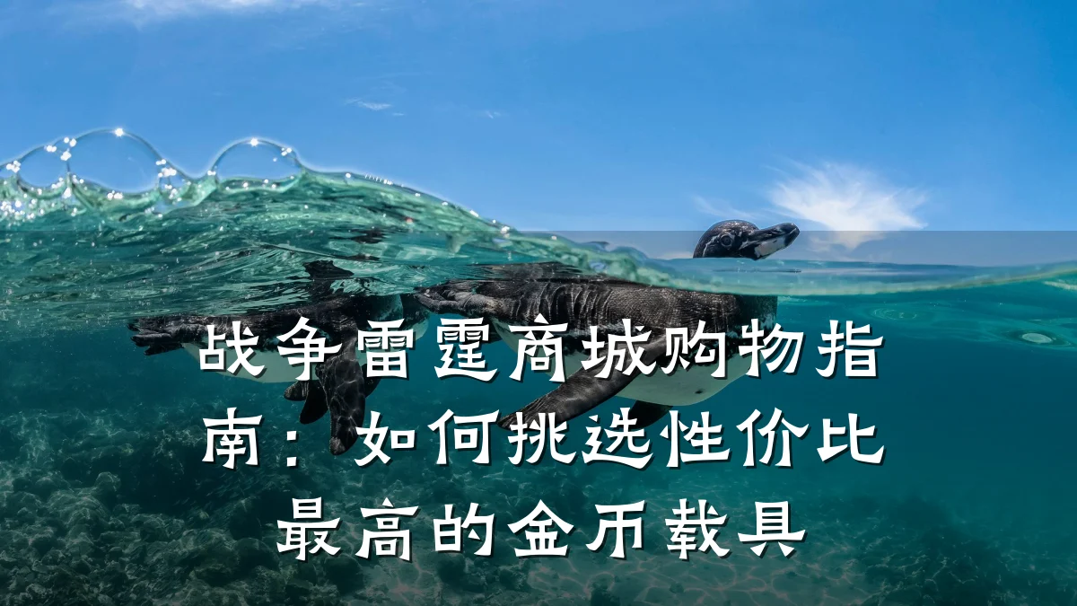 战争雷霆商城购物指南：如何挑选性价比最高的金币载具