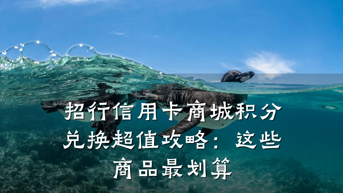 招行信用卡商城积分兑换超值攻略:这些商品最划算
