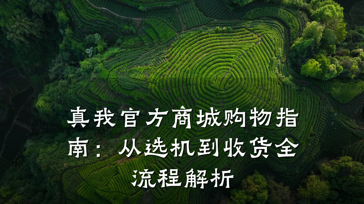 真我官方商城购物指南:从选机到收货全流程解析