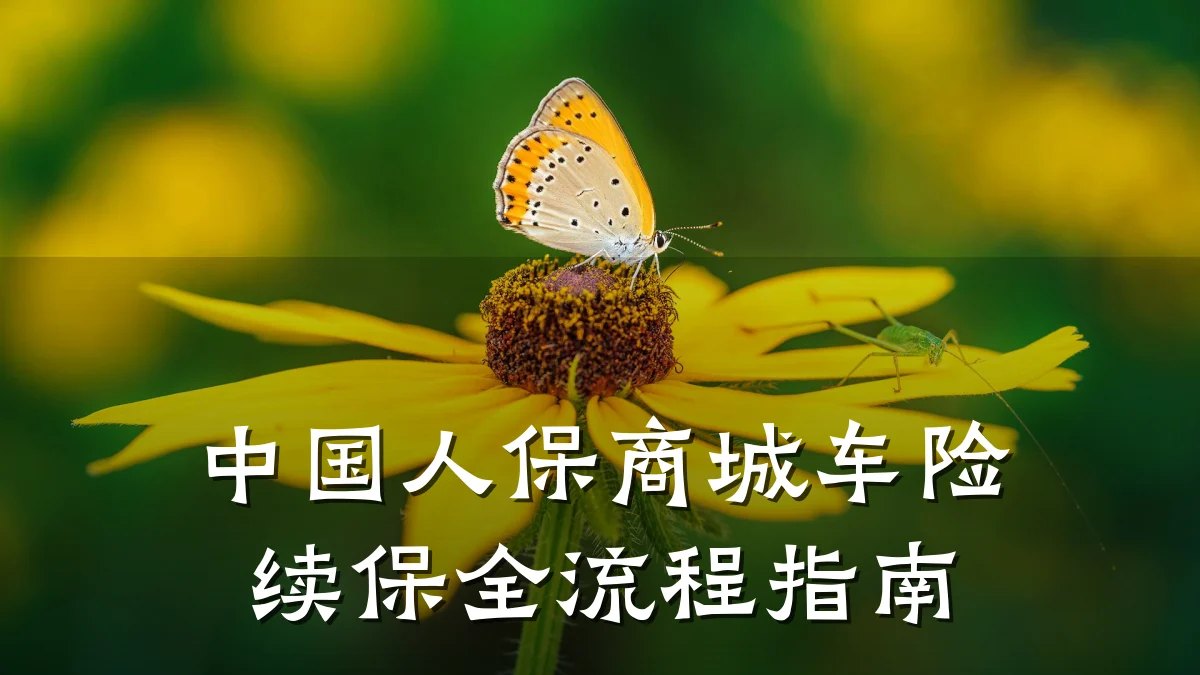 中国人保商城车险续保全流程指南
