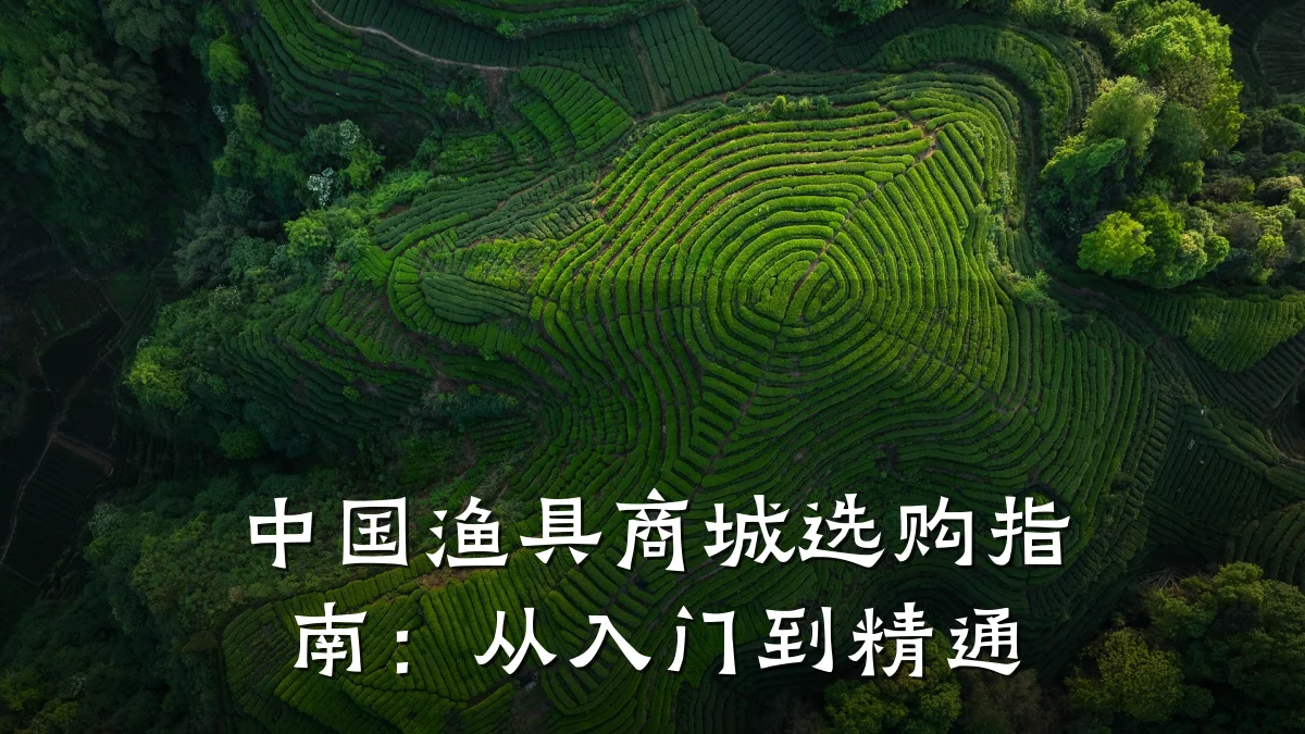 中国渔具商城选购指南:从入门到精通