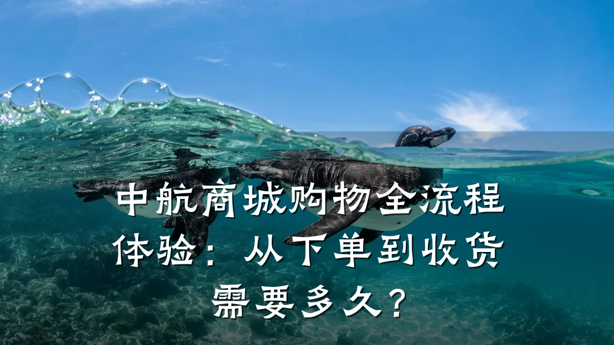 中航商城购物全流程体验:从下单到收货需要多久?
