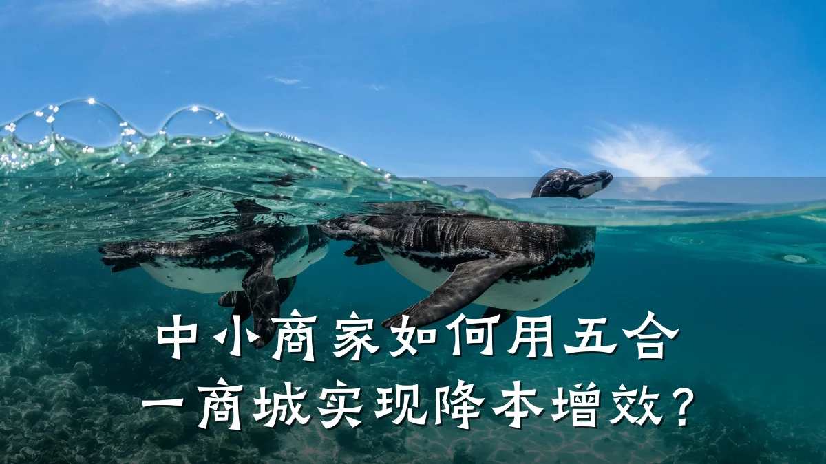 中小商家如何用五合一商城实现降本增效?