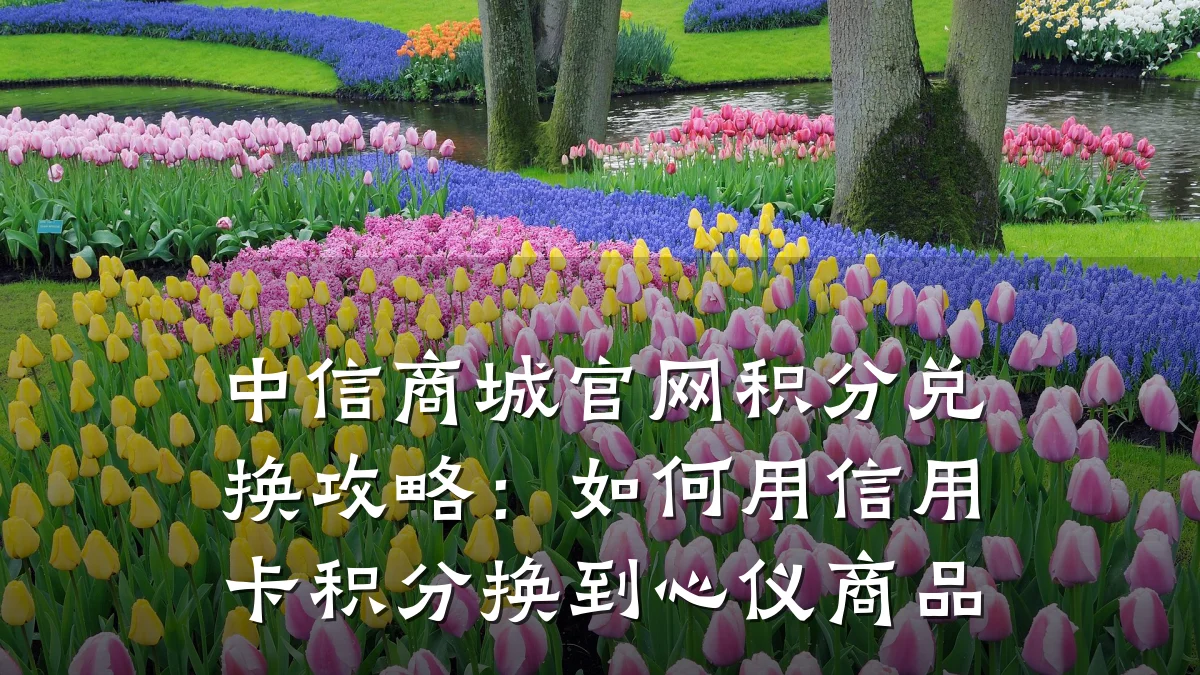 中信商城官网积分兑换攻略:如何用信用卡积分换到心仪商品