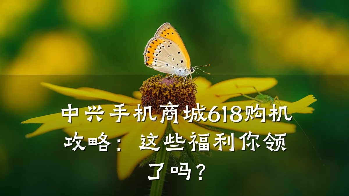 中兴手机商城618购机攻略:这些福利你领了吗?