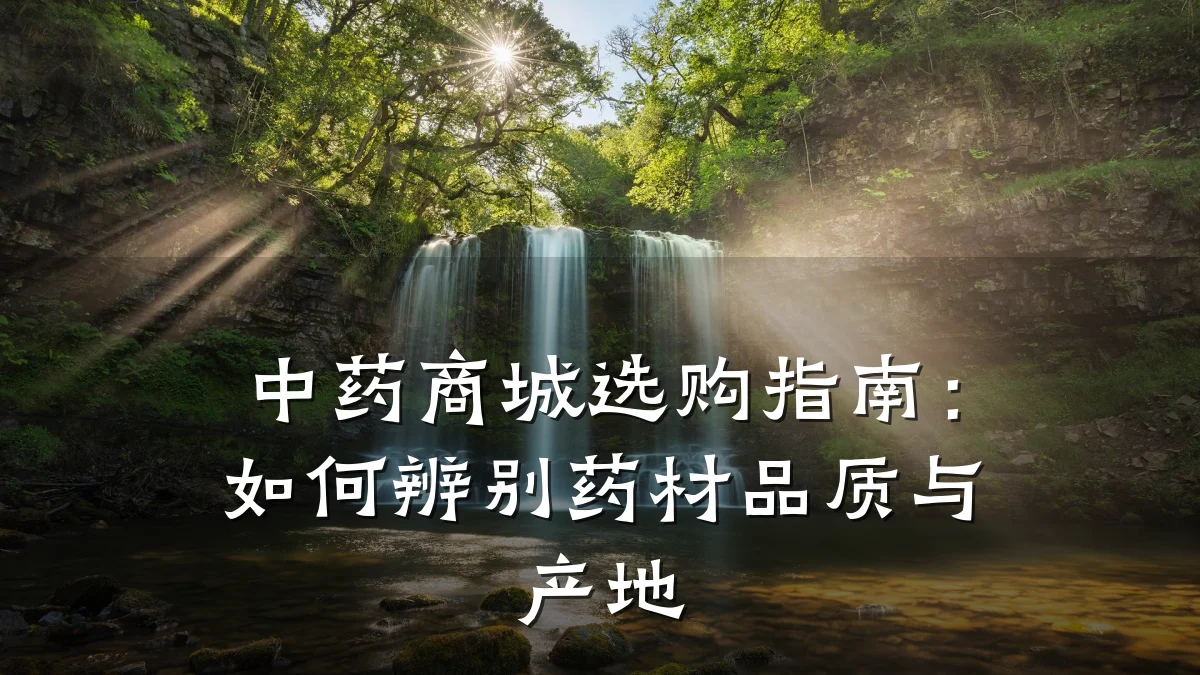 中药商城选购指南:如何辨别药材品质与产地