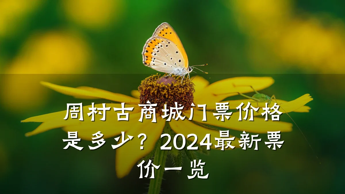 周村古商城门票价格是多少?2024最新票价一览