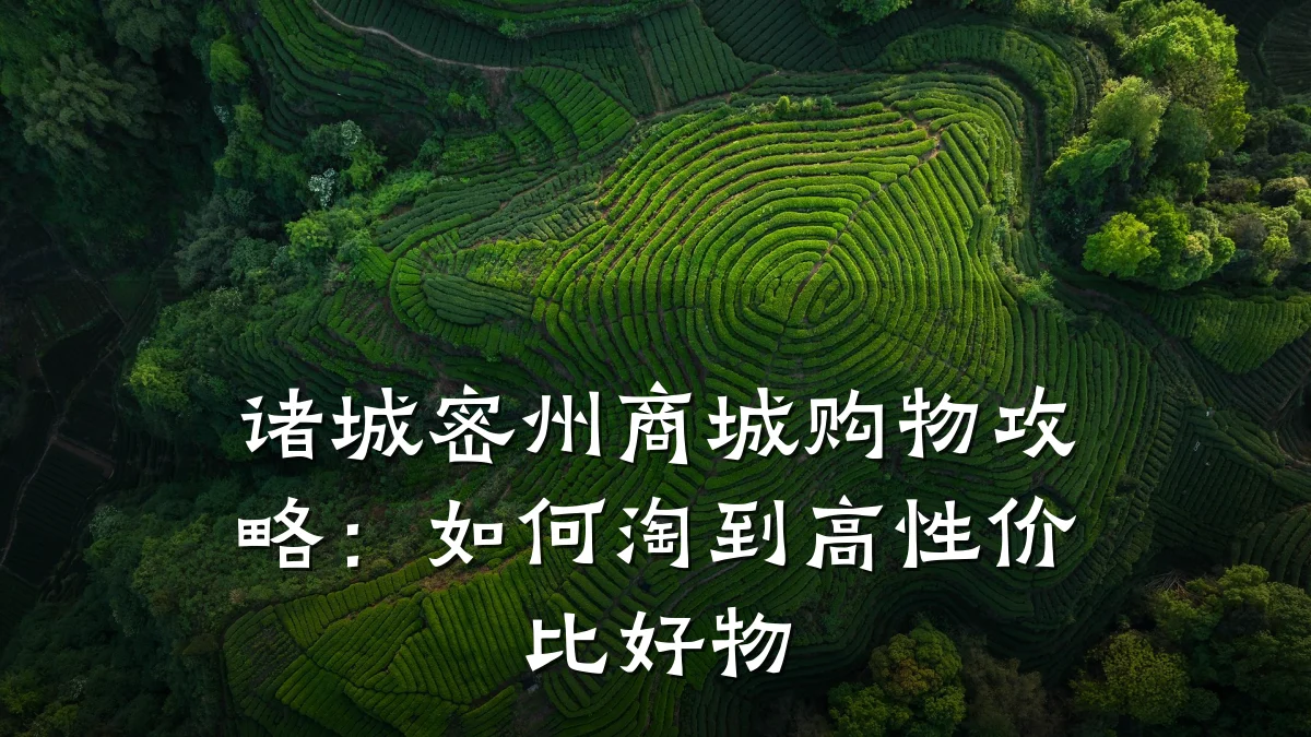诸城密州商城购物攻略:如何淘到高性价比好物