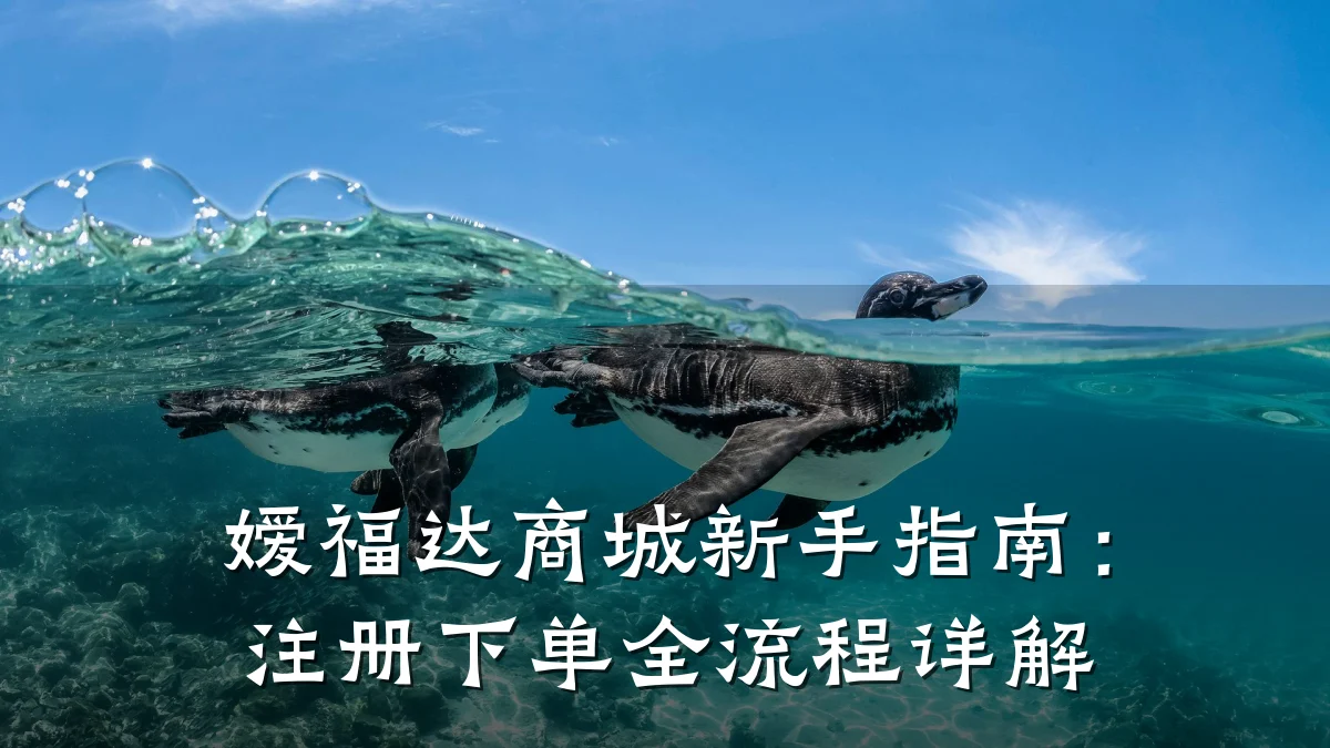 嫒福达商城新手指南:注册下单全流程详解