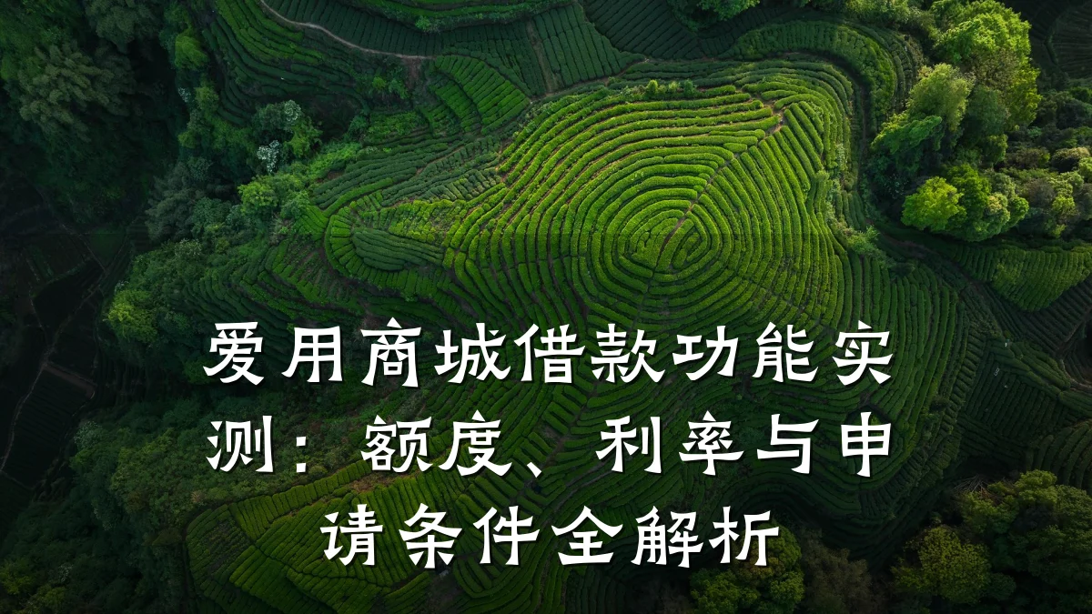 爱用商城借款功能实测:额度、利率与申请条件全解析