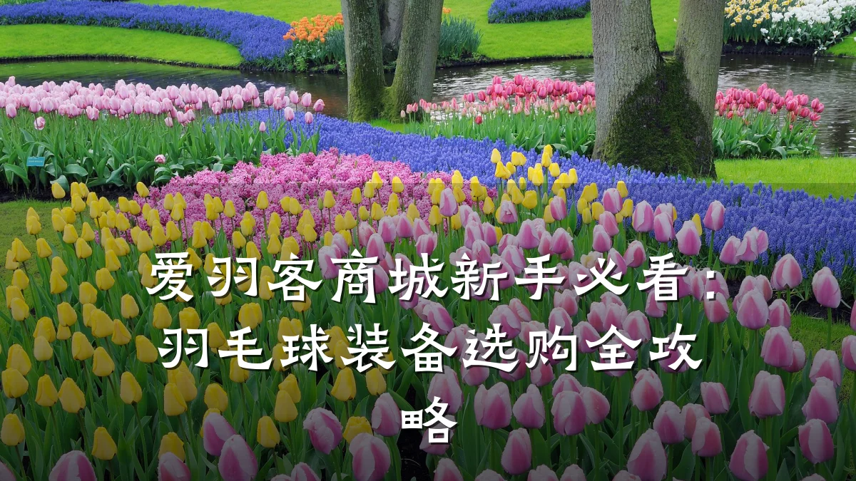 爱羽客商城新手必看:羽毛球装备选购全攻略