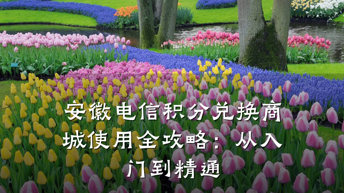 安徽电信积分兑换商城使用全攻略:从入门到精通