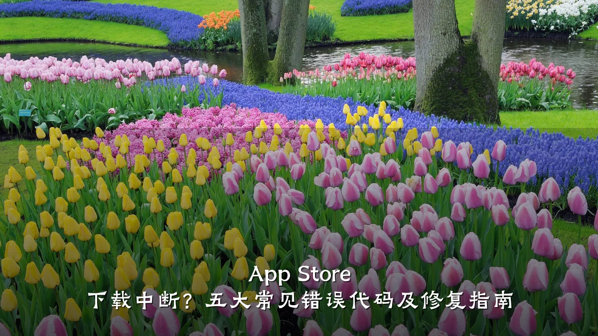 App Store 下载中断?五大常见错误代码及修复指南