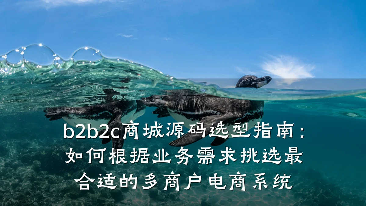 b2b2c商城源码选型指南:如何根据业务需求挑选最合适的多商户电商系统
