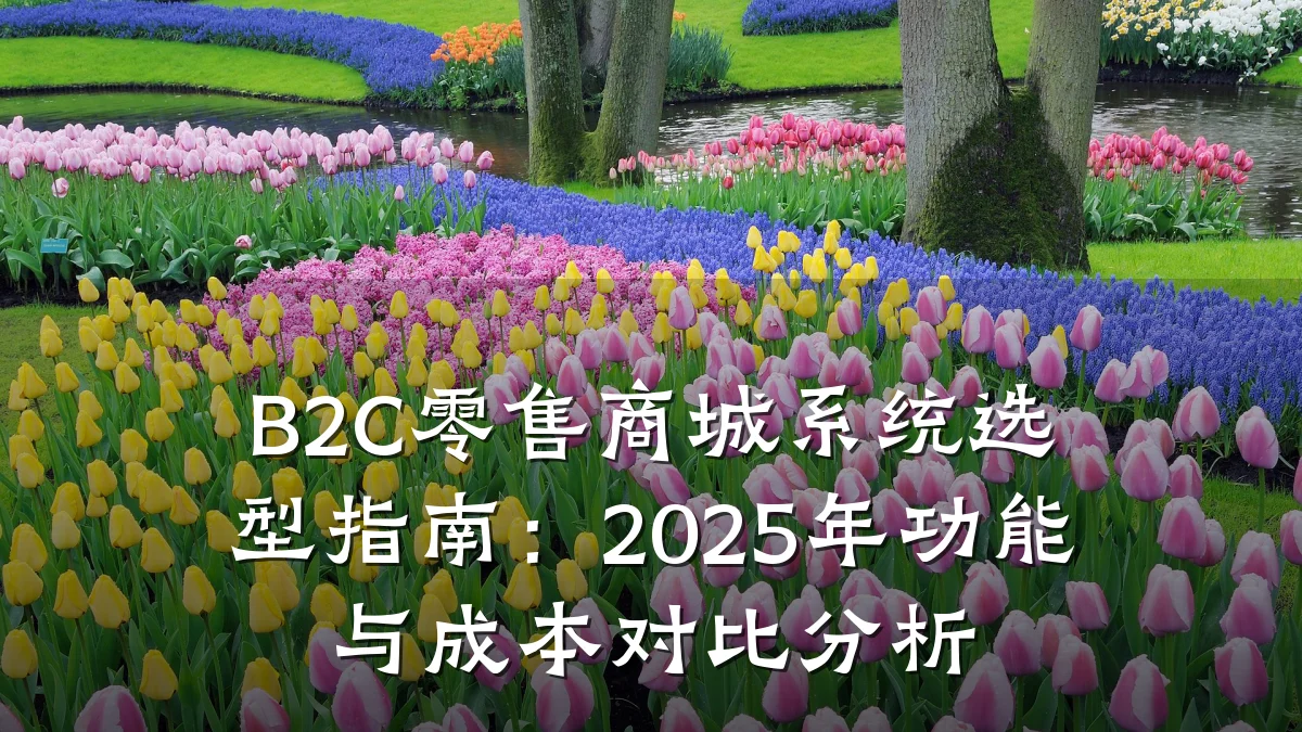 B2C零售商城系统选型指南：2025年功能与成本对比分析