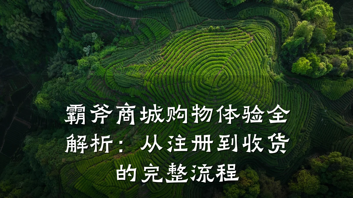 霸斧商城购物体验全解析：从注册到收货的完整流程