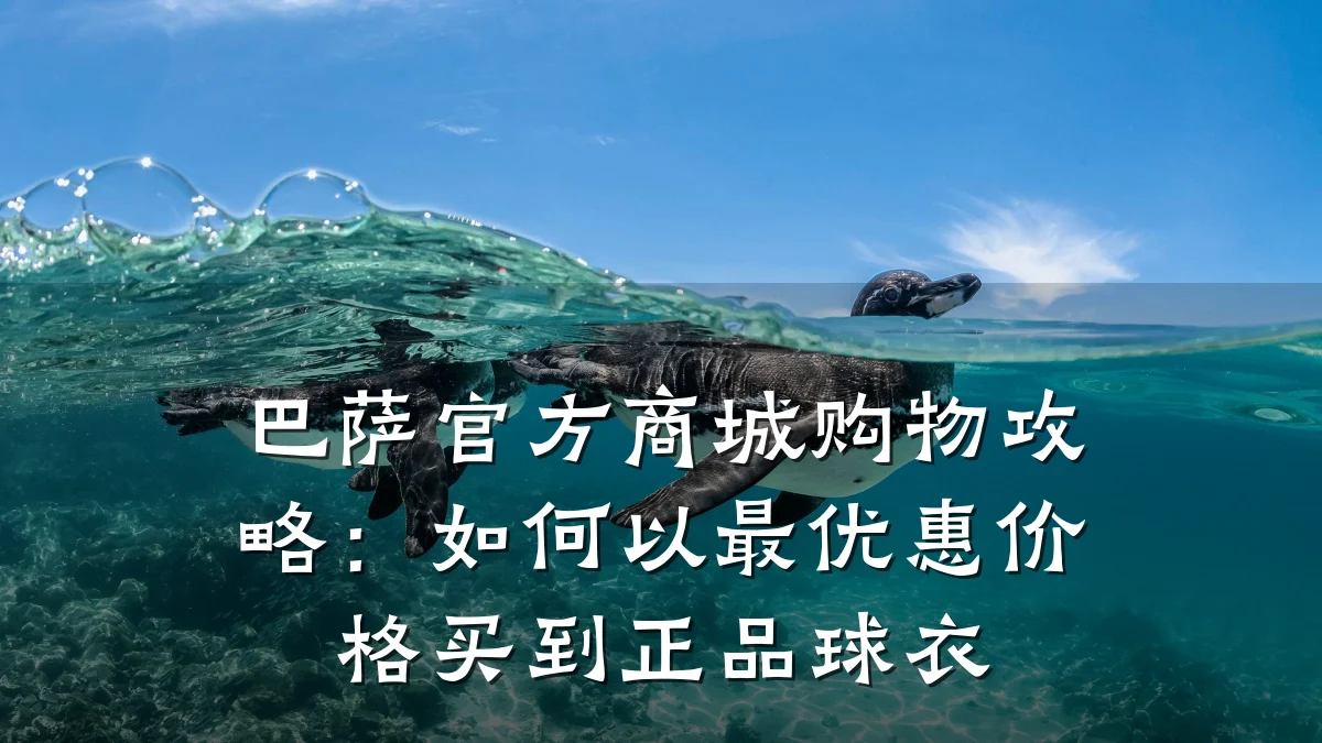 巴萨官方商城购物攻略:如何以最优惠价格买到正品球衣