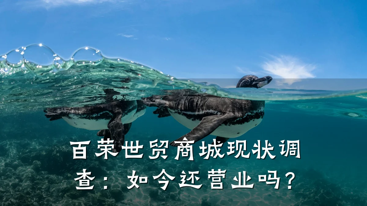 百荣世贸商城现状调查:如今还营业吗?