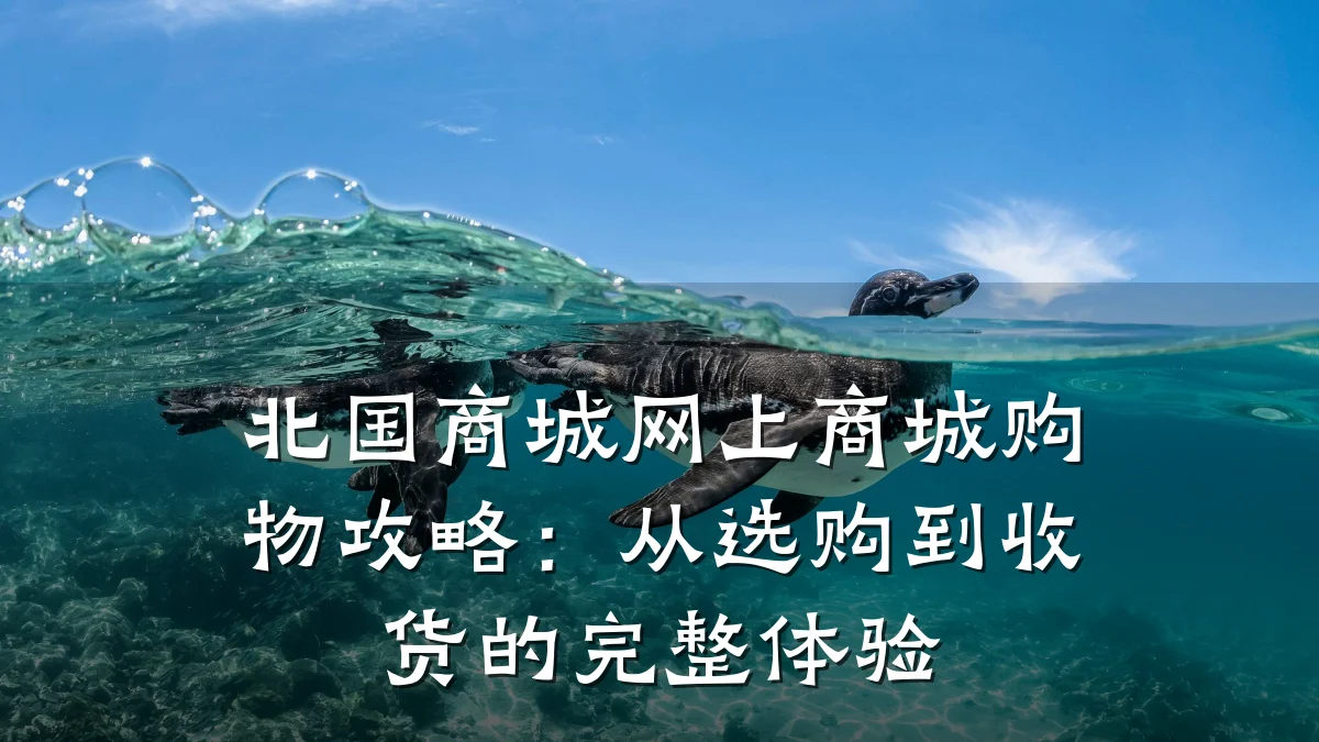 北国商城网上商城购物攻略:从选购到收货的完整体验