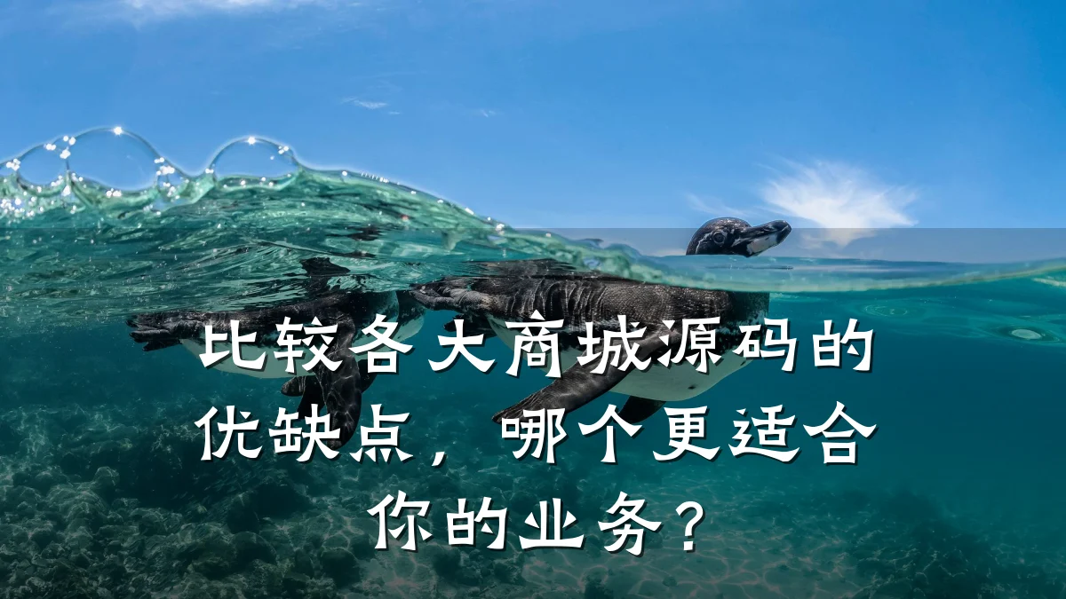 比较各大商城源码的优缺点,哪个更适合你的业务?