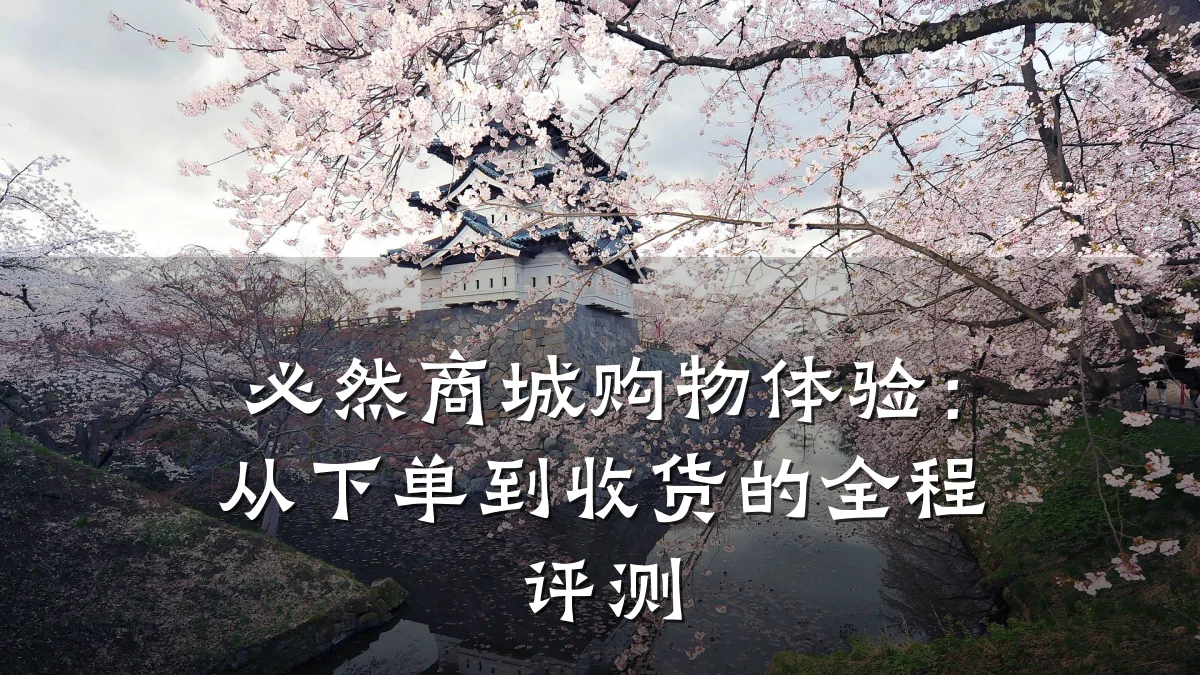 必然商城购物体验:从下单到收货的全程评测