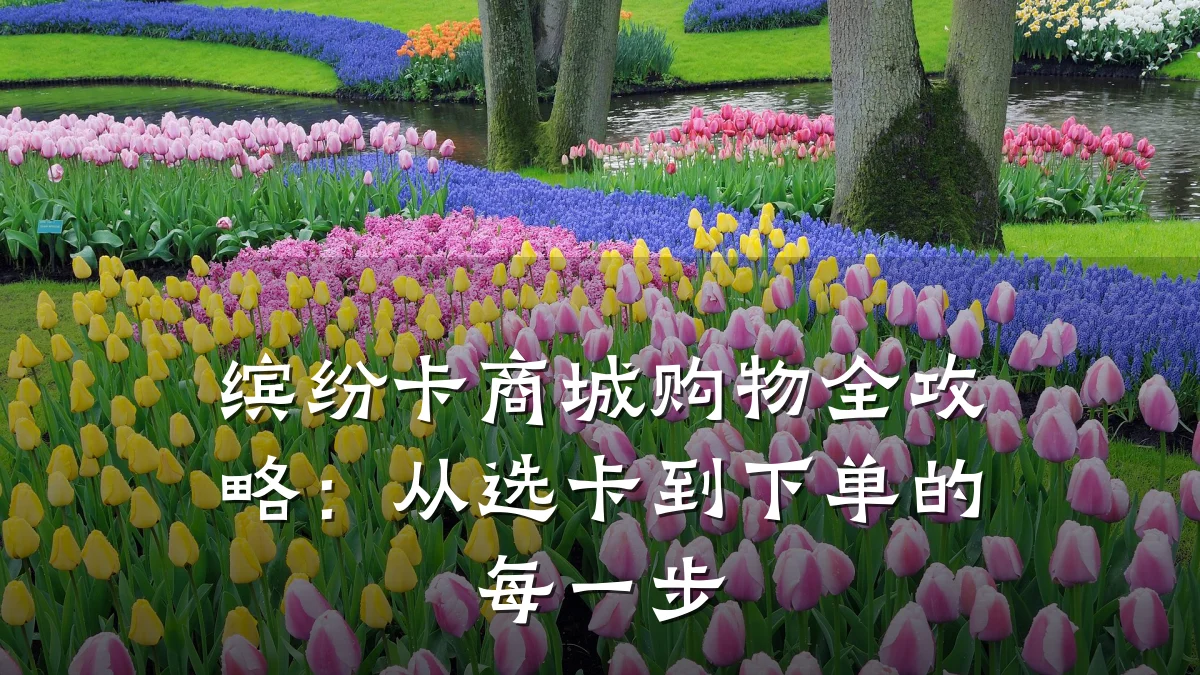 缤纷卡商城购物全攻略：从选卡到下单的每一步