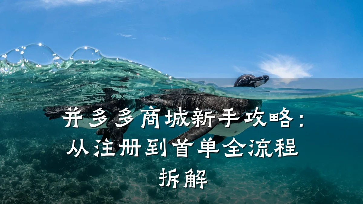 并多多商城新手攻略：从注册到首单全流程拆解