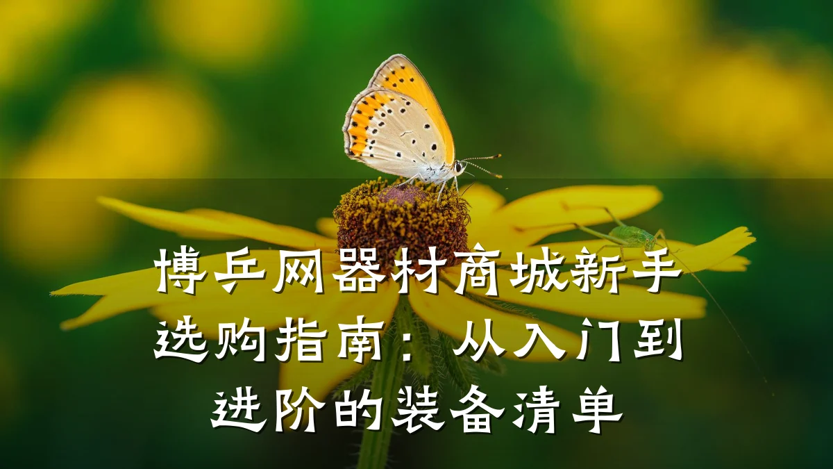 博乒网器材商城新手选购指南：从入门到进阶的装备清单