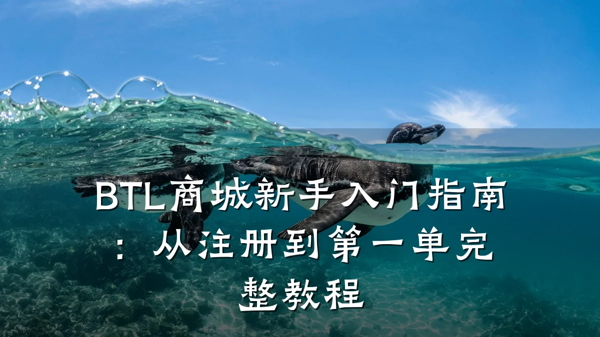 BTL商城新手入门指南:从注册到第一单完整教程