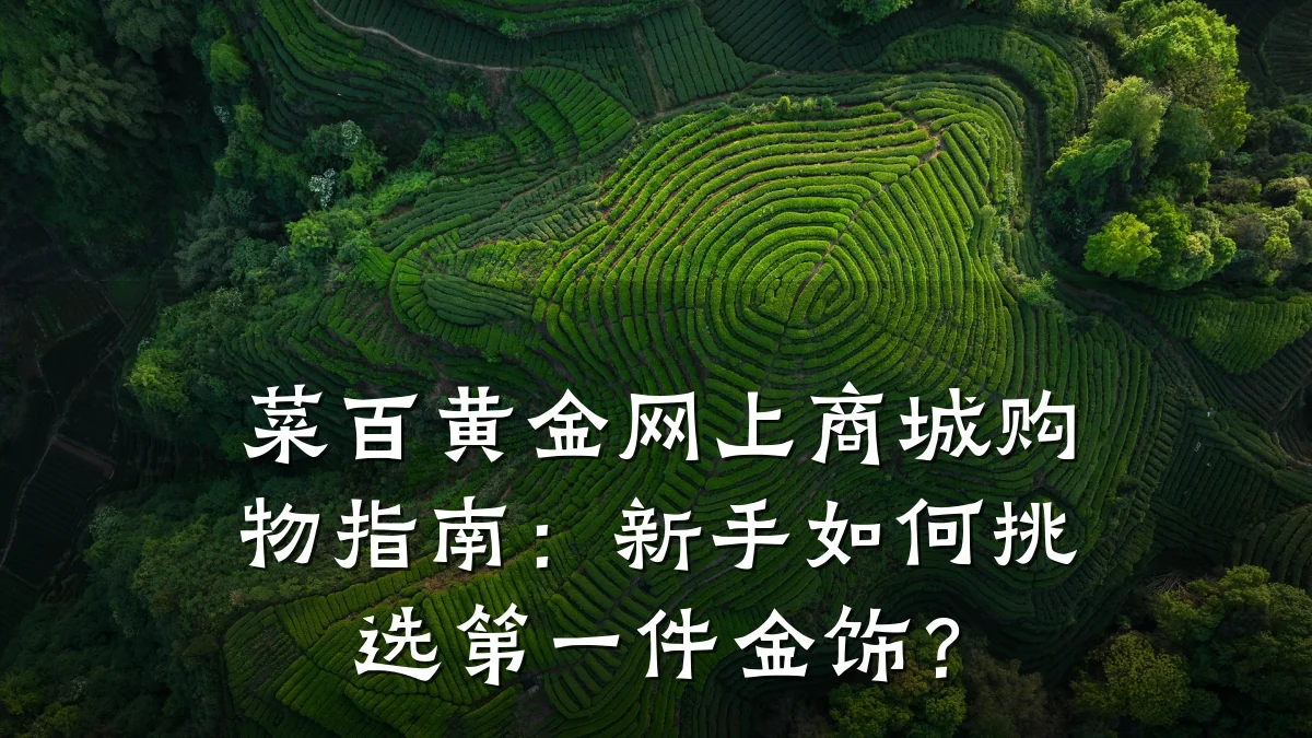 菜百黄金网上商城购物指南:新手如何挑选第一件金饰?