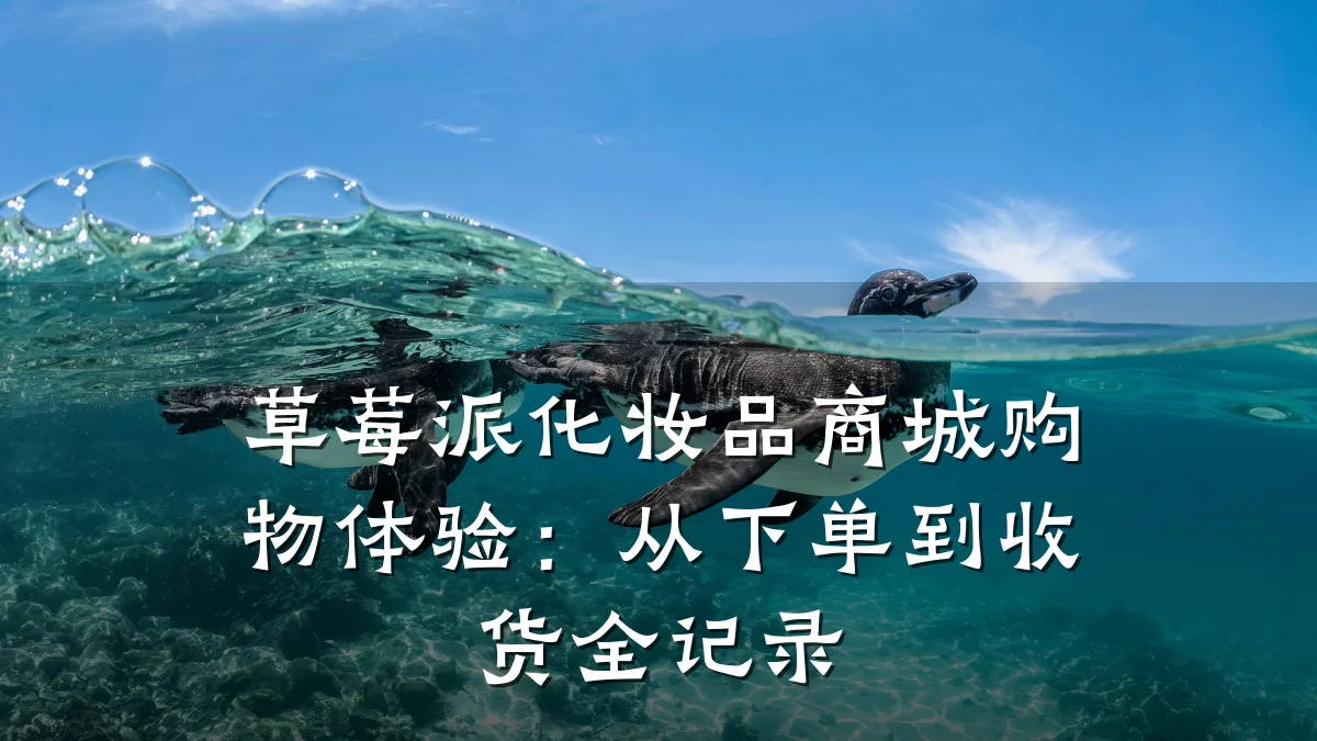 草莓派化妆品商城购物体验:从下单到收货全记录