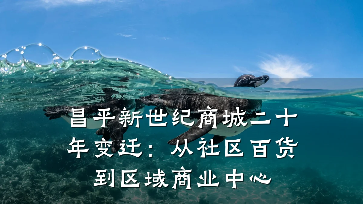 昌平新世纪商城二十年变迁:从社区百货到区域商业中心