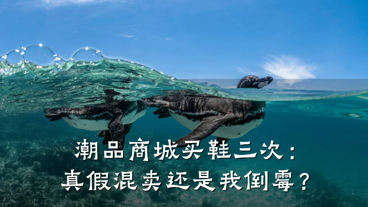 潮品商城买鞋三次:真假混卖还是我倒霉?