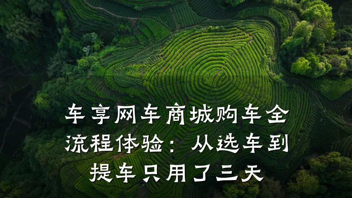 车享网车商城购车全流程体验：从选车到提车只用了三天