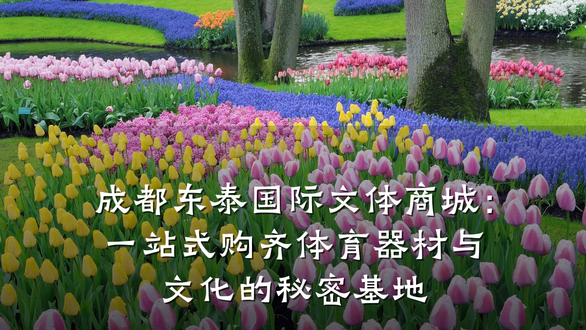 成都东泰国际文体商城:一站式购齐体育器材与文化的秘密基地