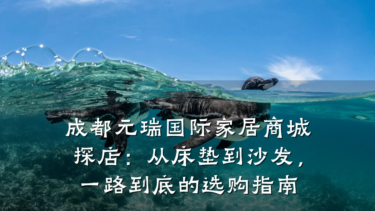 成都元瑞国际家居商城探店:从床垫到沙发,一路到底的选购指南