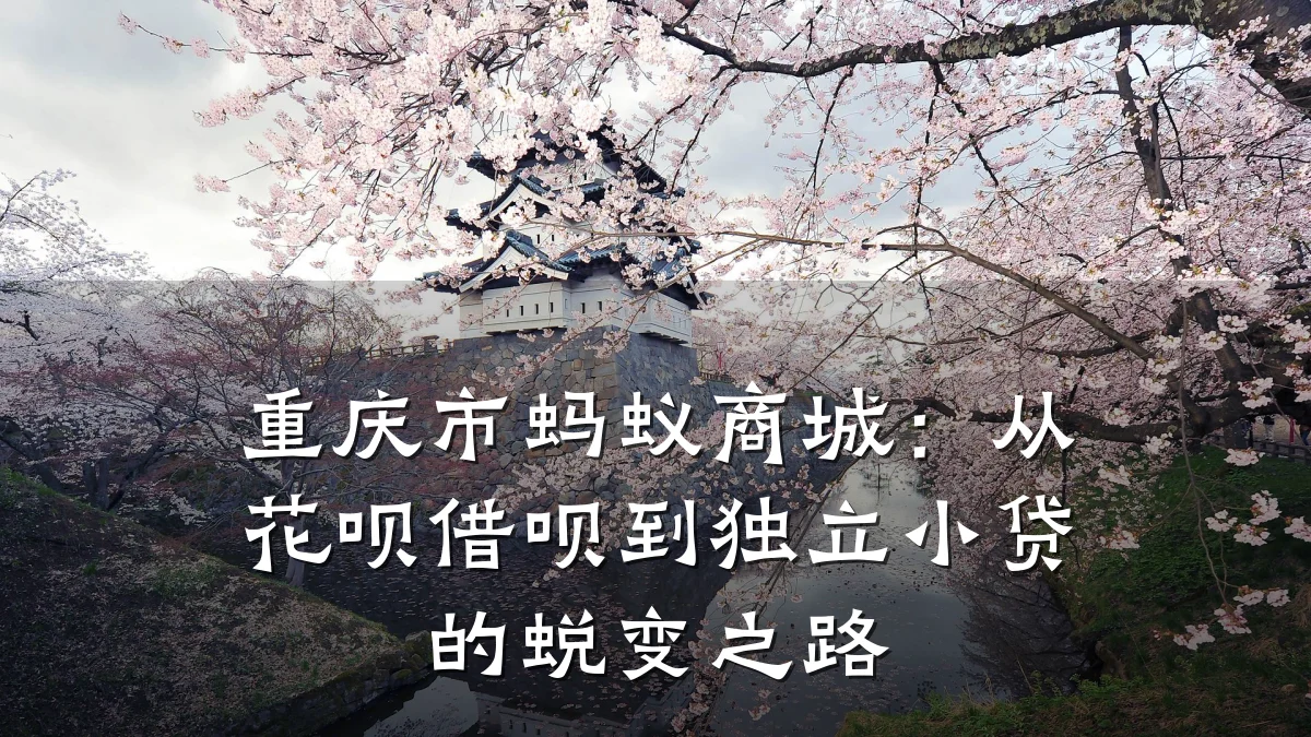 重庆市蚂蚁商城:从花呗借呗到独立小贷的蜕变之路
