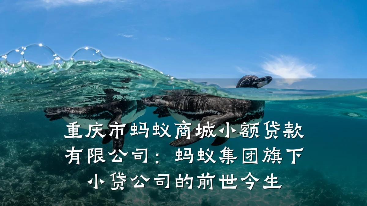 重庆市蚂蚁商城小额贷款有限公司:蚂蚁集团旗下小贷公司的前世今生