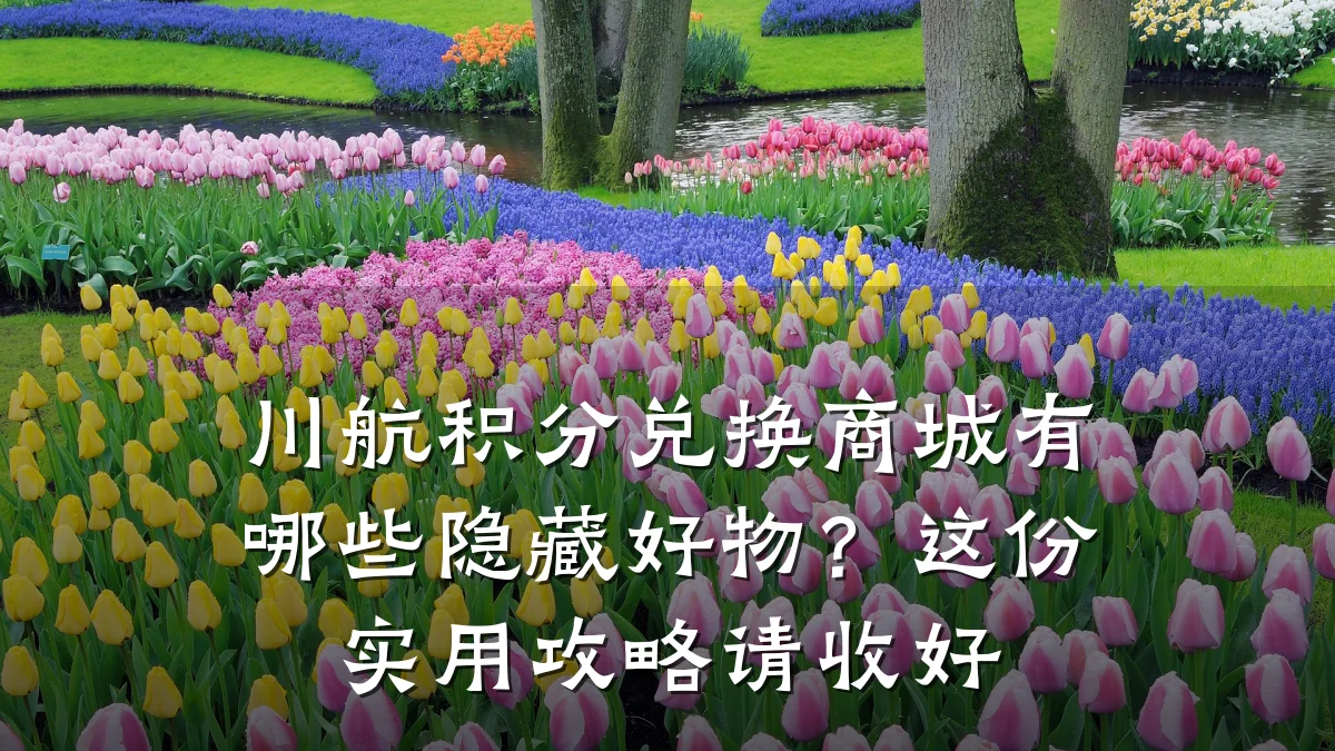 川航积分兑换商城有哪些隐藏好物?这份实用攻略请收好