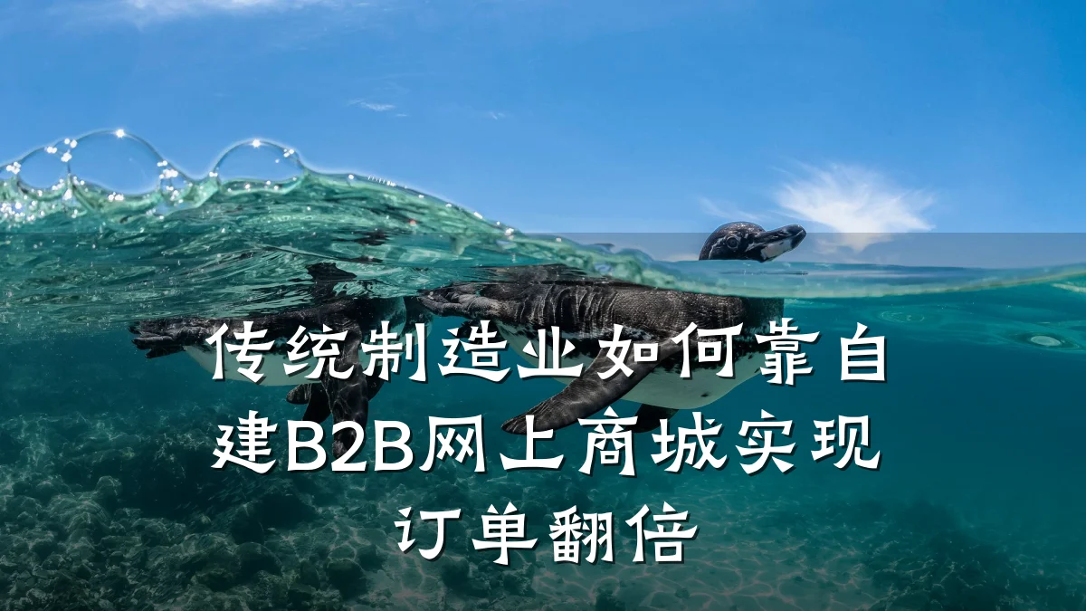 传统制造业如何靠自建B2B网上商城实现订单翻倍