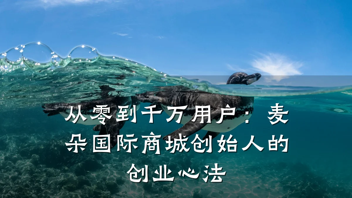 从零到千万用户：麦朵国际商城创始人的创业心法