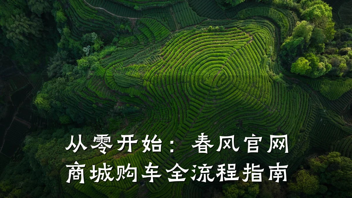从零开始:春风官网商城购车全流程指南