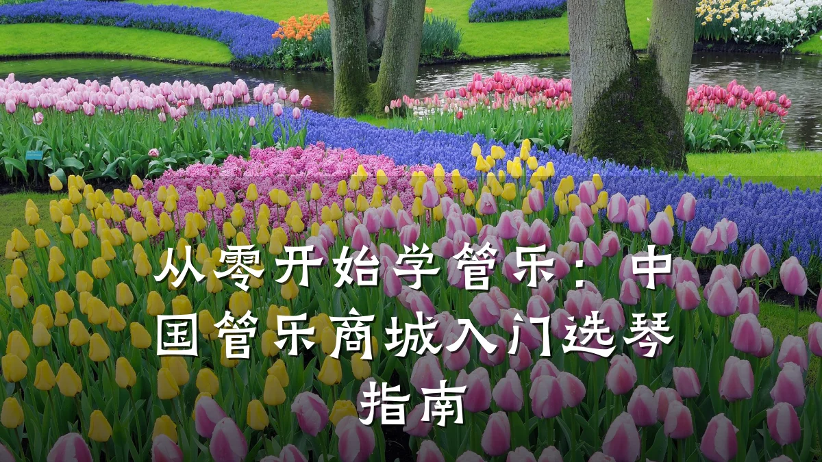 从零开始学管乐：中国管乐商城入门选琴指南