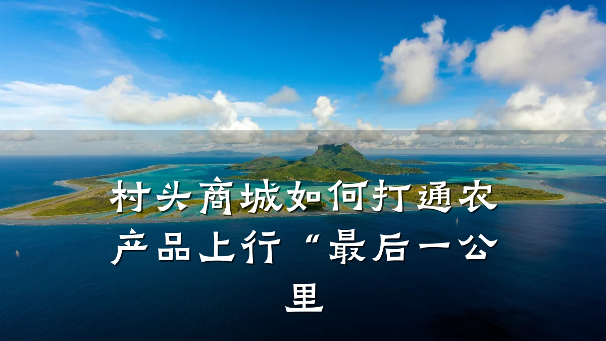村头商城如何打通农产品上行“最后一公里