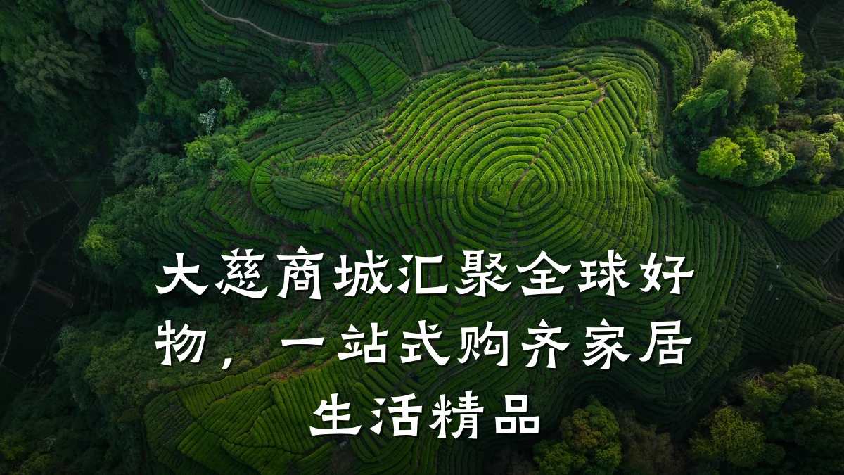 大慈商城汇聚全球好物,一站式购齐家居生活精品