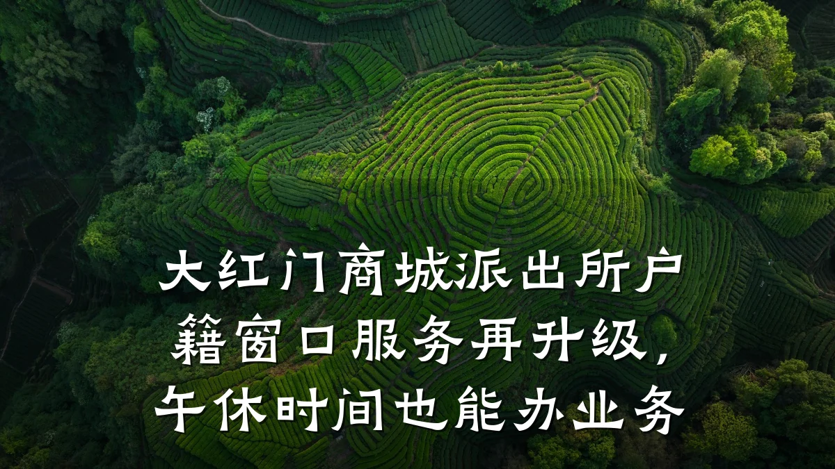 大红门商城派出所户籍窗口服务再升级，午休时间也能办业务