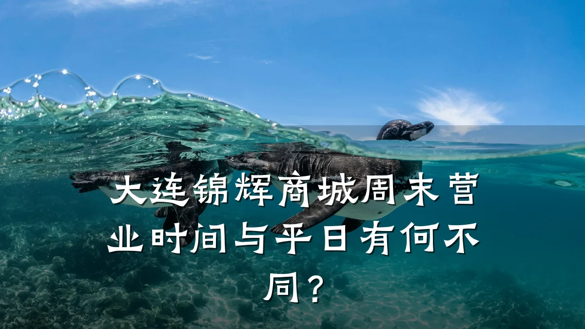 大连锦辉商城周末营业时间与平日有何不同?